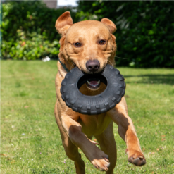 Orva Extreme Slidstærk Aktiverings legetøj til Hund Ring, Ø21 cm Sort