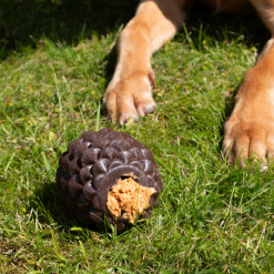 Orva Tuff Stuff Pine Cone Aktiverings legetøj til godbidder, Hund, Ø12 cm Brunt