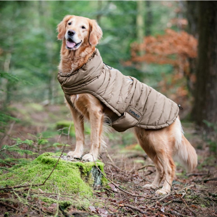 Catago FIR-Tech puffer Hundedækken Kangaroo/ Brun, 25-80 cm