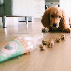 Natural Sardin Treats Naturlige Godbidder til Hund Sprøde, Pork & Sardin Cooka's Cookies, EU - Billede 3