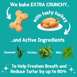 Park life - Brush-Bix Dog Biscuits 100 % naturlig Kornfri Godbid til Hund,Kalkun & Pebermynte 100g, EU - Billede 3