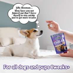 Park life - Chill-Bix Mini Naturlig Kornfri Godbid til Hund Honning & Kamille 100g, EU - Billede 5