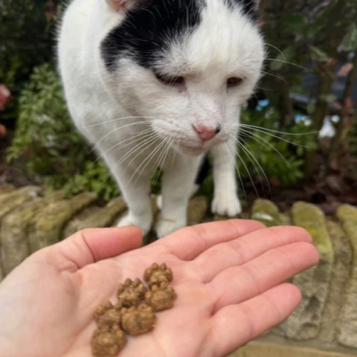 Park life - Meow-Bix Goldfish 100 % naturlig Kornfri Godbid til Kat, Laks, 150g EU