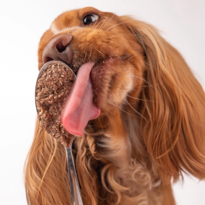 Real Duck - Naturlig Monoprotein Vådfoder til Hund, And & Græskar, 400g, Cooka's Cookies, EU - Billede 3