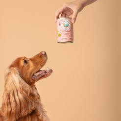 Alternative view of Real Salmon - Naturlig Monoprotein Vådfoder til Hund, Laks & Spinat, 400g, Cooka's Cookies, EU