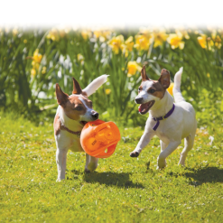 KONG Jumbler Ball med Piv og Indvendig Bold Slidstærkt Hundelegetøj 14 cm, Ass farve