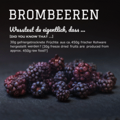 Alternative view of Pamico Frysetørret Brombær Dry Barf Snack For Hunde & Katte, 30g, EU
