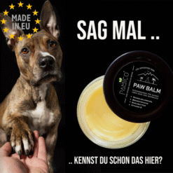 Alternative view of Pamico Paw Balm Pote voks Til Hundens Poter, 100ml, EU
