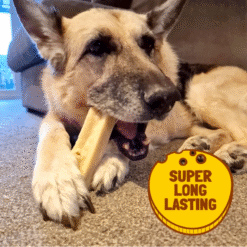 Cheez Nepalesisk Hundesnack Tyggeben 150g, 1 stk Fra EU