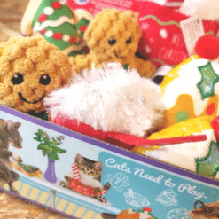 KONG Holiday Scrattles Cafe Bamse Catnip til Kat, 7,5x7,5 cm, Ass model