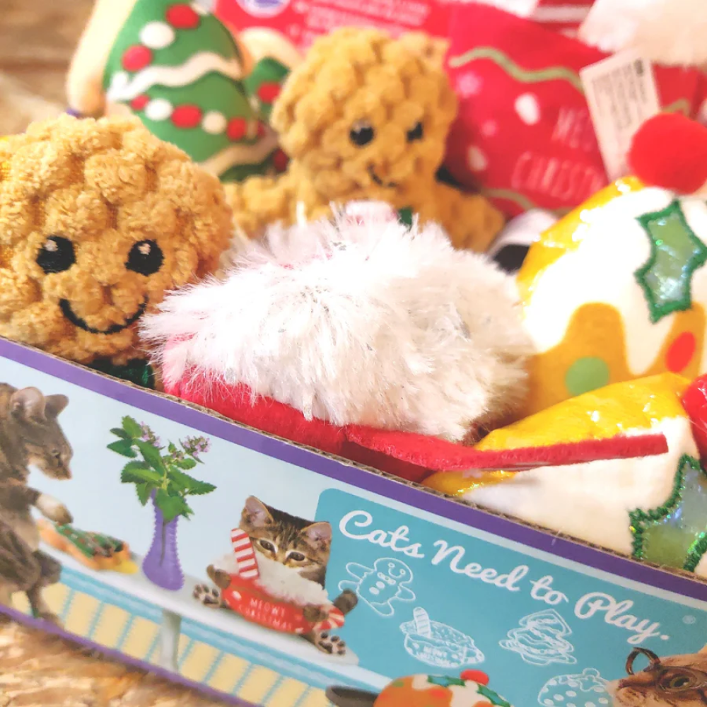KONG Holiday Scrattles Cafe Bamse Catnip til Kat, 7,5x7,5 cm, Ass model