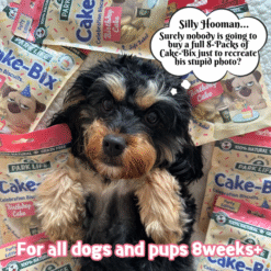 Park life - Cake-Bix Naturlig Kornfri Godbid til Hund Fødselsdag 100g, EU - Billede 4