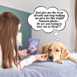 Park life - Chill-Bix Naturlig Kornfri Godbid til Hund Honning & Kamille 100g, EU - Billede 5