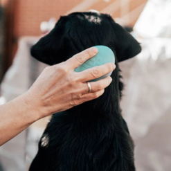 Alternative view of Retorn Blød Massagebørste af Øko harpiks til Hund, 12 cm, EU