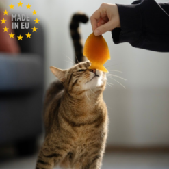 Retorn - Slidstærkt tygge legetøj 100 % Øko harpiks, Rub Fish Cat Toy EU