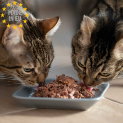 Retorn Naturligt vådfoder Kornfri til Kat & Killing, Tun 800g, EU