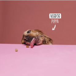 VegDog MOBILITIES Mini Vegansk Godbid, Glucosamin & Løvstikke, 115g, EU