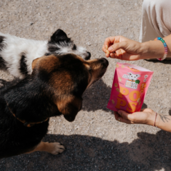 VegDog Pops Vegansk Godbid til Hund, 20g, EU