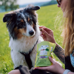 VegDog VEGGIES Skincare Vegansk Godbid, 125g, EU - Billede 3