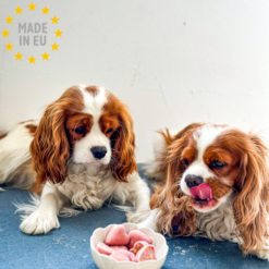 Cooka's Cookies Ice-Cream Mix Kylling & Jordbær, Hund & kat 100 % Naturligt, 100g , EU - Billede 5