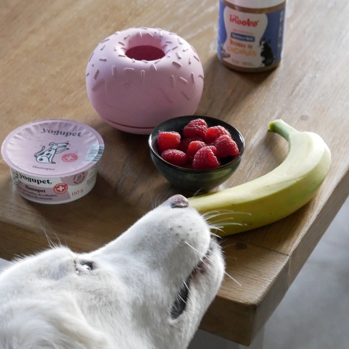 INOOKO - Aktiverings Yoomy Donut Slow feeder Skål til hund Ø11,5 cm - Billede 4