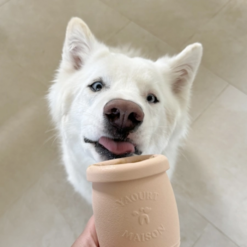 INOOKO - Yoomy Pot Slow feeder Skål til hund 9,5 cm - Billede 5