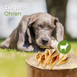 Kauartikel Gedeøre Naturlig Tygge Snack til hund 250g, Fra EU
