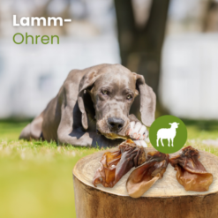 Alternative view of Kauartikel Lamme Øre, Naturlig Snack til hund 1 stk EU