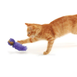 KONG Cork Ball med Catnip til Kat, 18 cm Ass farve