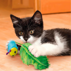 KONG Flingaroo CATerpillar Catnip til Kat, 8 x 25,5 cm