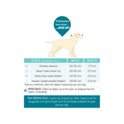 Max & Molly Smart Id Dog Hunde Halsbånd Sporbar Matrix 2.0 Sand - Billede 6