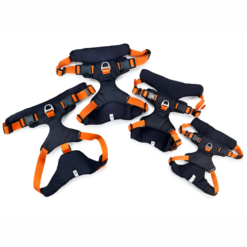 Dogman Sportsele Hund Emmi Orange S/M/L/XL