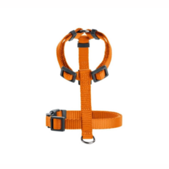 Hunter London Hundesele Orange - Billede 4