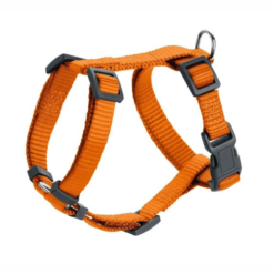 Hunter London Hundesele Orange XXS/XS/S/M
