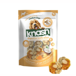 Knash Woofa Loofa Græskar/Ingefær Dental Bites til hund 100g