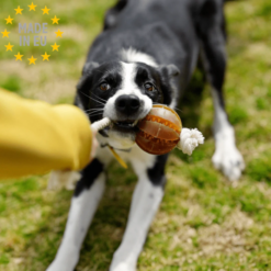 Retorn - Slidstærkt tygge legetøj til hund 100 % Øko harpiks, Floating Dental Ball, EU