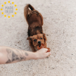Retorn - Slidstærkt tygge legetøj til hund 100 % Øko harpiks, Rub Chain, EU