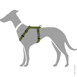 Alternative view of Hunter London Hundesele Oliven Grøn