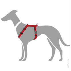 Alternative view of Hunter London Hundesele Rød