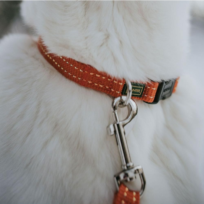 Hunter Tripoli Hundehalsbånd m. refleks Orange