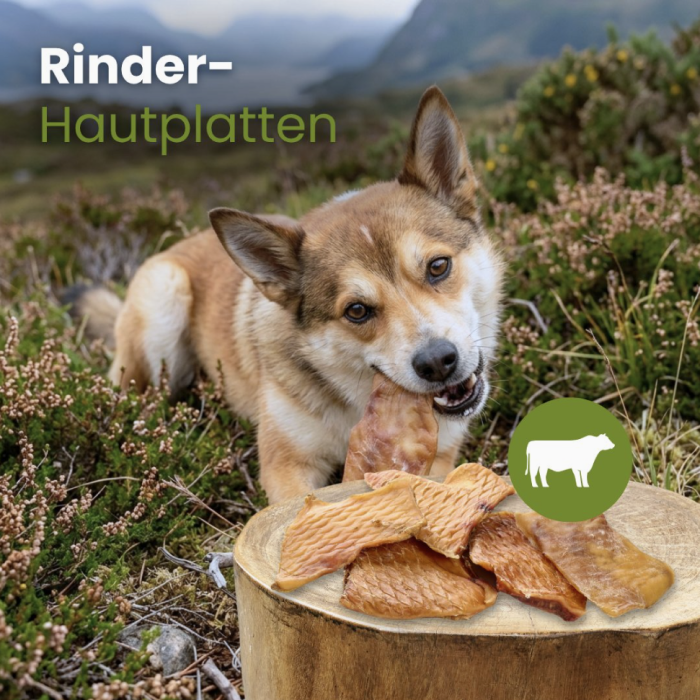 Kauartikel Sund Naturlig God Tyggesnack Kvæg hud Plade 500g EU