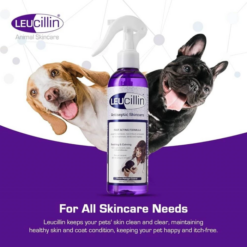 Leucillin Antiseptisk Bakteriedræbende Spray Til Sår, kløe og Hududfordringer til Hund EU - Billede 7