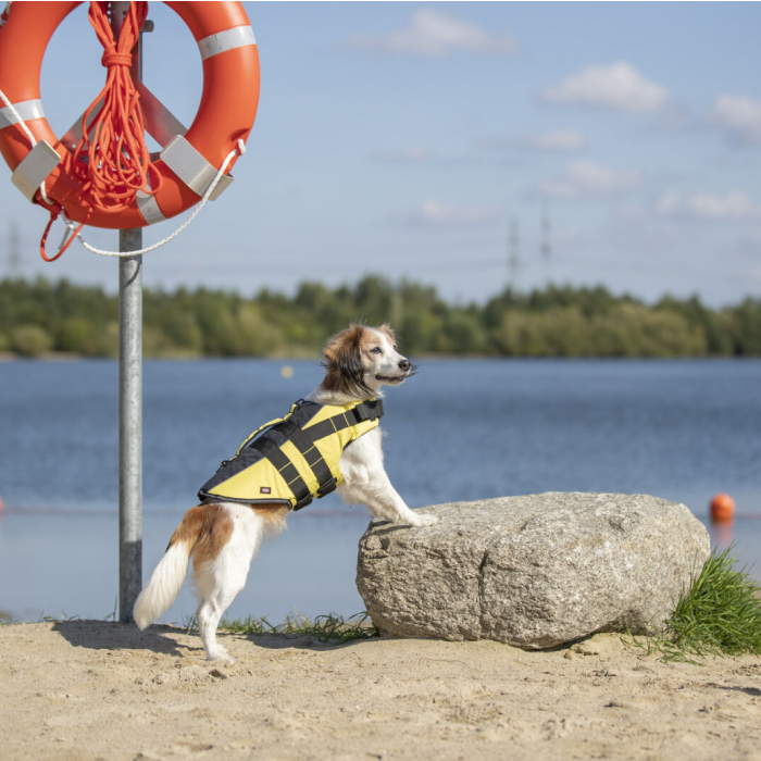 Trixie redningsvest til hunde flydevest Gul - Billede 6