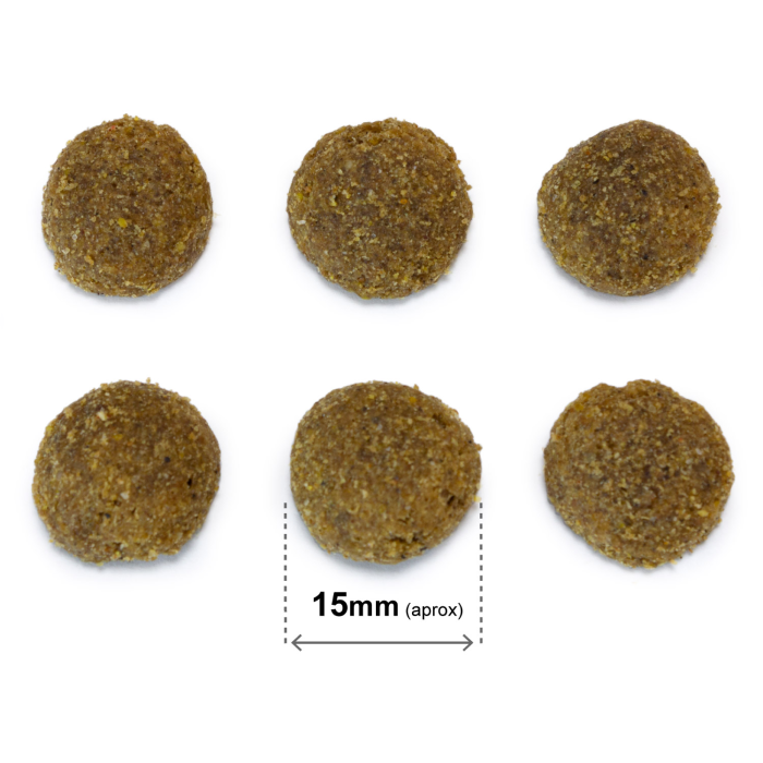 Arquivet Original Komplet Hunde Foder, Iberisk svin 3 kg, EU - Billede 2