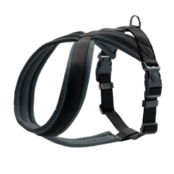 Hunter London Comfort Hundese Sort