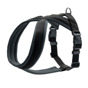 Hunter London Comfort Hundese Sort