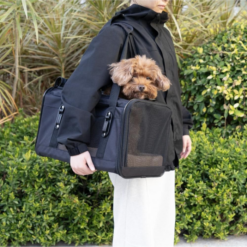 Nordic Paws Ziggy Transporttaske m pude, S 43 x 27cm