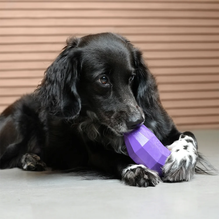 Zee.dog Eggplant Håndfør Slow feeder hund Lilla Ø13cm - Billede 2