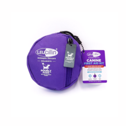 Leucillin Førstehjælps kit incl antiseptisk spray