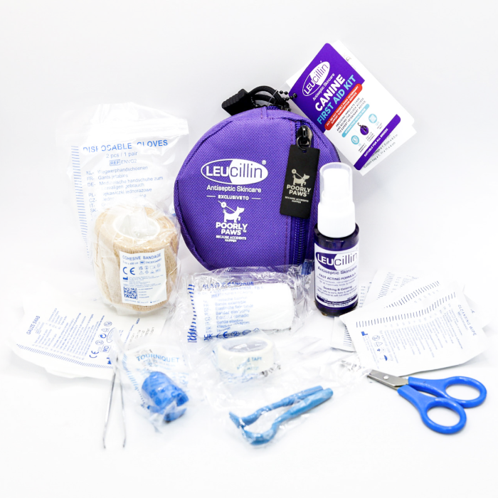 Leucillin Førstehjælps kit incl antiseptisk spray
